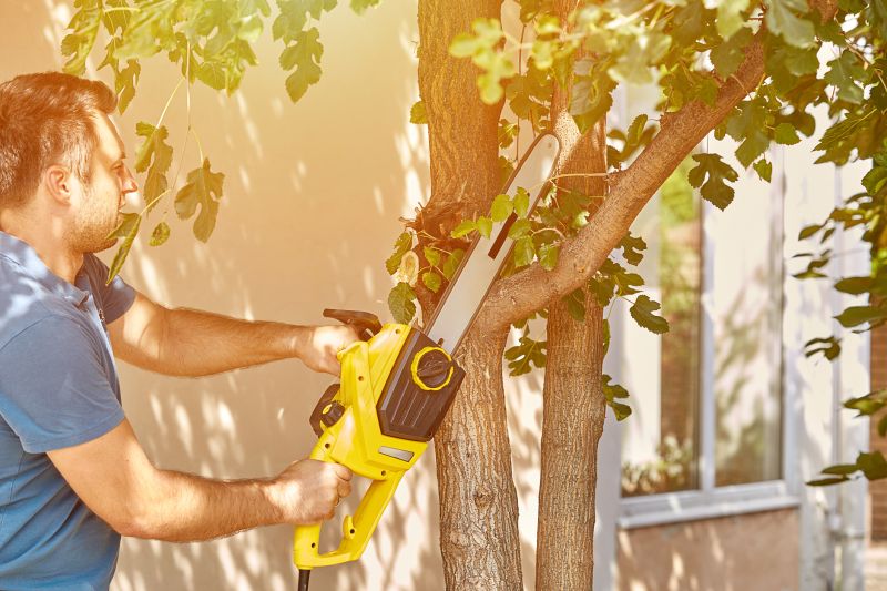 Oak Tree Pruning