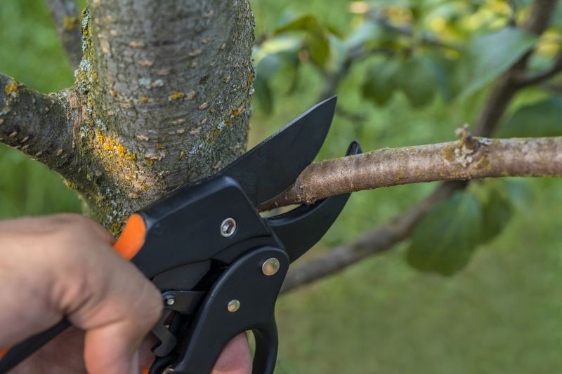 Safety Pruning