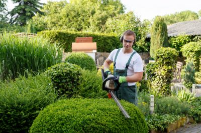 Increase Your Tree Trimming Business with an AI Driven, Targeted Website