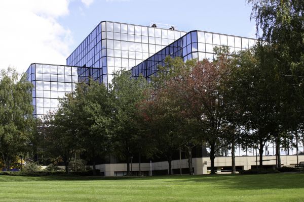 Commercial Tree Trimming in Columbia